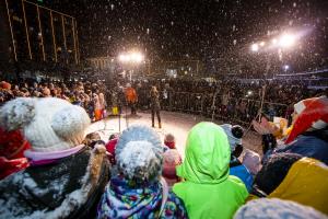 026 Pozdrav zimi inpraznik luci Foto atelje Postojna